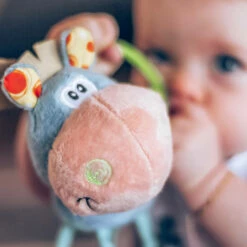 Playgro Activiteiten Rammelaar Clip Clop -Speelgoed Verkoop 1011959 8a721bfb