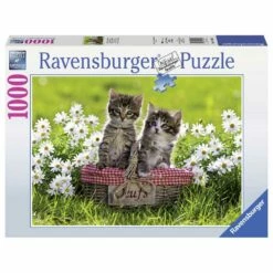 Ravensburger Puzzel Picknick In De Wei - 1000 Stukjes