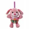 VTech Baby Knuffel En Speel Puppy - Roze
