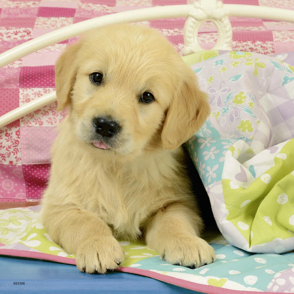 Ravensburger Puzzelset Schattige Hondjes - 3 X 49 Stukjes 3 Ravensburger Puzzelset Schattige Hondjes - 3 X 49 Stukjes - Afbeelding 3