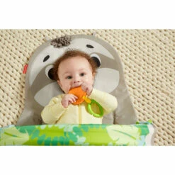 Fisher Price Fisher-Price Ready To Hang Sensorische Luiaard Activity Center -Speelgoed Verkoop 1983697 da35e88b