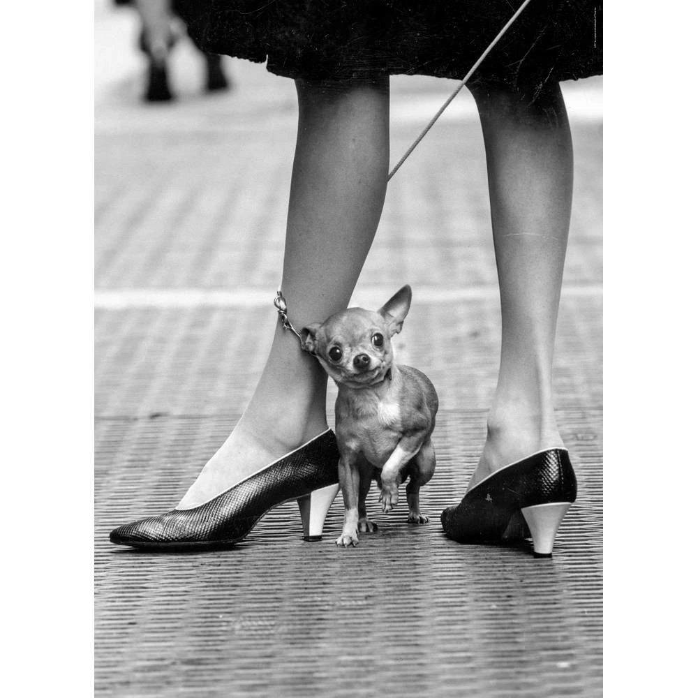 Clementoni Puzzel Quality Collection Life 2 - 1000 Stukjes 2 Clementoni Puzzel Quality Collection Life 2 - 1000 Stukjes - Afbeelding 2