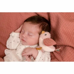 Little Dutch Flowers & Butterflies Knuffeldoekje -Speelgoed Verkoop 1989833 4549c312